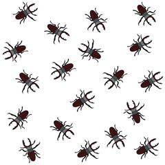 Beetles  set on an isolated background