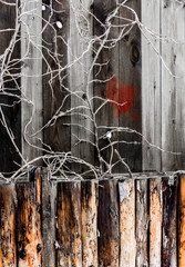 Do you see the heart on wall