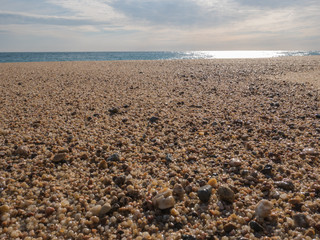 Sand on the beach, closeup, background