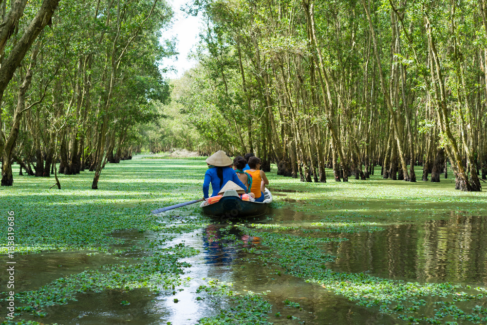 Wall mural Tourism rowing boat in Mekong delta, Vietnam