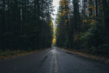 Tuinposter Autumn forest road. © RyanTangPhoto