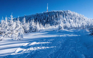 Lysa hora hill in winter Moravskoslezske Beskydy mountains with frozen torest, snow, hiking trail...