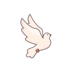 Dove isolated on white.