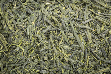 Sencha Saga green tea background