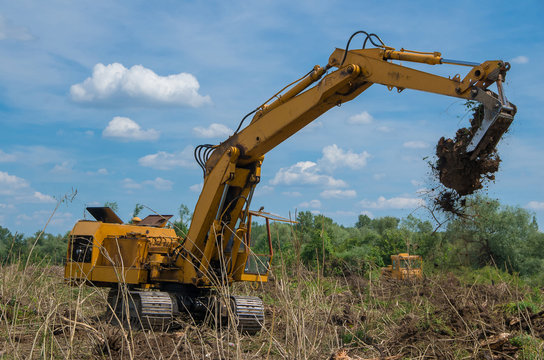 Destruction of forests. Removing stumps with an excavator. Seizure of forest land for agriculture.