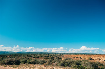 Wild landscape, South Africa