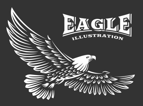 Eagle vector illustration, emblem on dark background