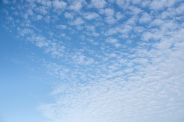 Fototapeta premium chmury na niebie