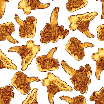 set of cute chanterelles