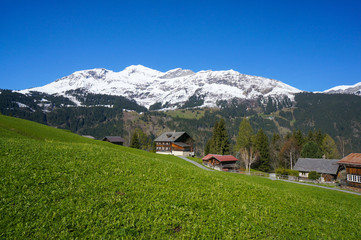 Fototapeta na wymiar green valley with village in big mountains covered by snow