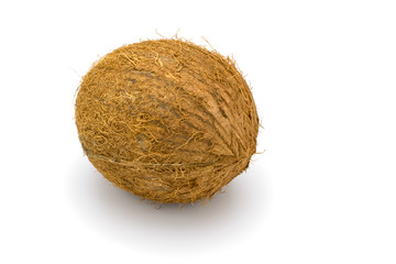Coconuts on a white