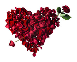 rose petals in the shape of a heart pierced by an arrow. Valentine's Day. Symbol of love.