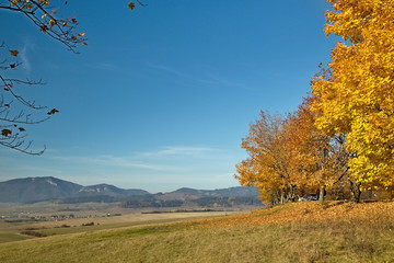  Interesting colors of autumn on Haj-Nicovo.