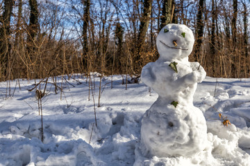 Snowman in the forest
