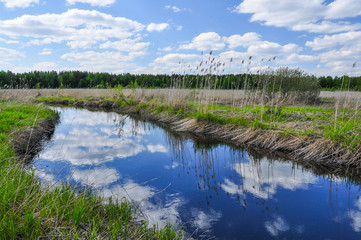Forest River, overgrown with reeds. Reflection of the sky in water