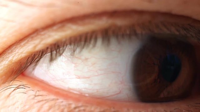 Macro shot of a male eye