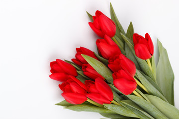 bouquet of red tulips