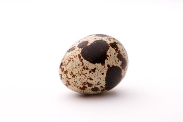 Obraz premium Quail egg