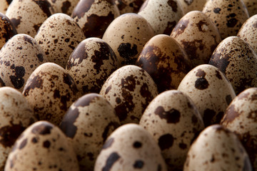 Some quail eggs