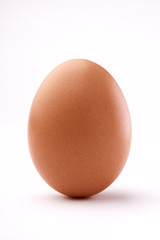 Egg