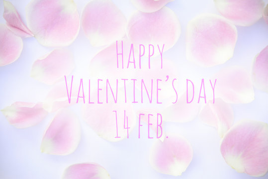 Pink handwriting happy valentine's day on pink rose petals background.