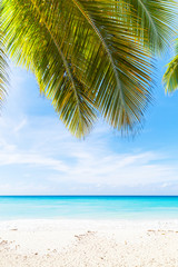 Tropical beach vertical photo background