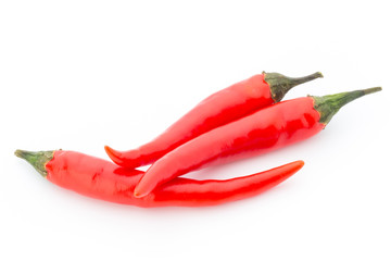 Chili pepper on the white background.