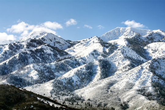 Fototapeta utah wasatch mountains in ogden just north of salt lake which is a popular vacation location for skiing snowboarding and winter sports