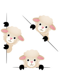 Obraz premium Cute sheep peeking from behind in various positions 