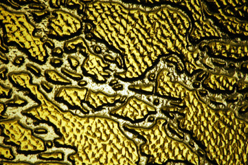 Gold glass with abstract patterns background