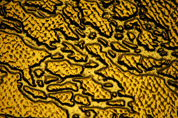 Gold glass with abstract patterns background