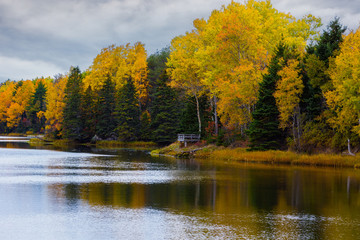 River running through the autumn forest in rural Prince Edward Island, Canada.
