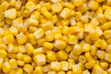Bulk of yellow corn grains texture.