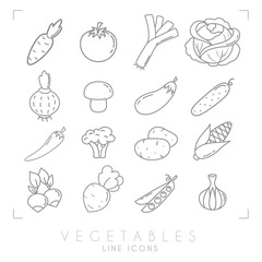 Set of line vegetable icons. Flat style. Carrot, tomato, leek, cabbage, onion, mushroom, eggplant, cucumber, pepper, broccoli, potato, corn, radish, beet root, peas, garlic.