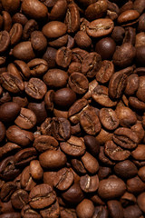 texture coffee beans .