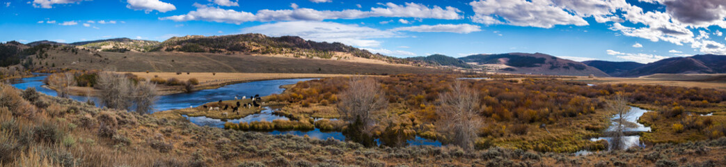 Platt river panoramic