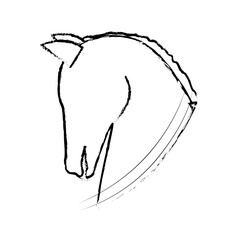 horse animal icon over white background. vector illustration