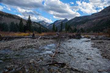 Trout Stream