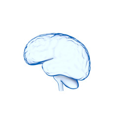 Human Brain, Medical 3D Model