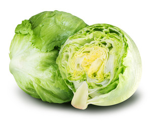 iceberg lettuce cabbage isolated on white