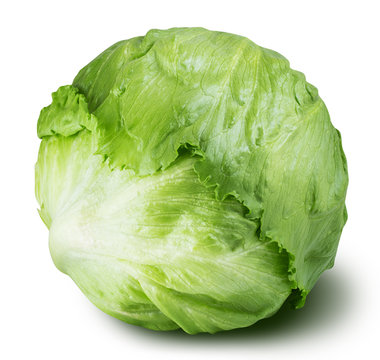 iceberg lettuce cabbage isolated on white