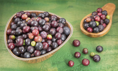 Agraz tropical fruit (Vaccinium meridionale)