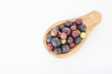 Agraz tropical fruit (Vaccinium meridionale)