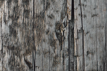 Natural Weathered Grey Tan Taupe Sepia Wooden Board, Cracked Rough Cut Wood Texture, Large Detailed...