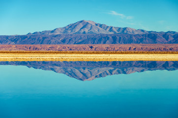 Lake Chaxa Reflection