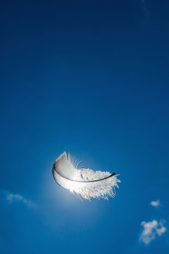 Feather floating in the sky. Faith, dreams and relax concept. 