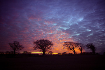 Sunset over Oaks Southrepps Norfolk UK Winter