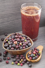 Agraz tropical fruit (Vaccinium meridionale)