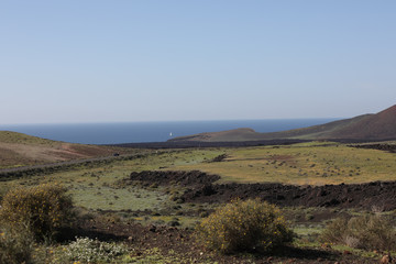 Green lava landscape on Lanzarote