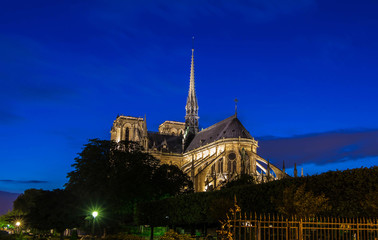 Fototapeta na wymiar The Notre Dame cathedral at night, Paris, France.